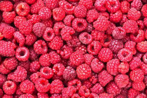 Shape Divider Sample Image